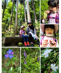 登山⛰️ | ラッピングキット