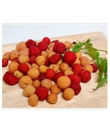 こんなに収穫😁 | ラッピングキット