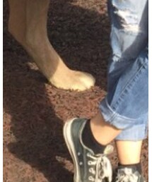 CONVERSE | スニーカー