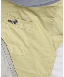 crocodile | Tシャツ/カットソー