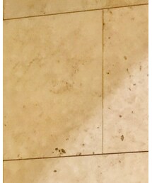 ZARA | ハンチング/ベレー帽