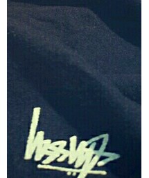 STUSSY | Tシャツ/カットソー