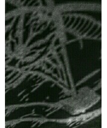 THRASHER | トップス