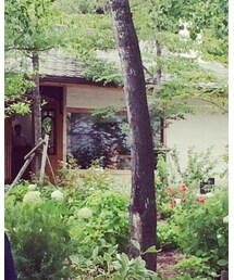 Tous Les Jours | ハット