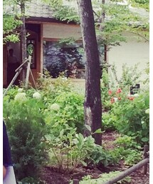 hortensia | Tシャツ/カットソー