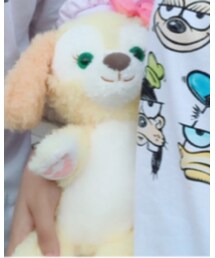 クッキー | おもちゃ