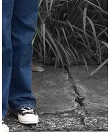 CONVERSE | シューズ