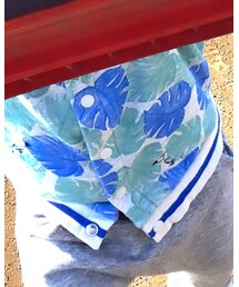 PETIT BATEAU | トップス