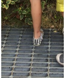 しましまぐつ | その他シューズ