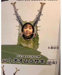 虫っぽい顔らしい。 | その他