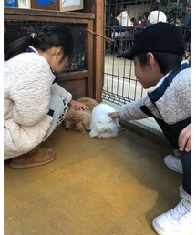うさちゃん🐰 | その他