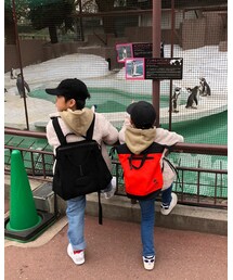 ペンギン見る2人🐧 | その他
