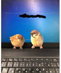 ビックリ🤣笑 | その他