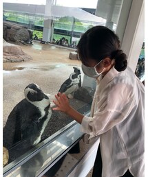 ペンギンさんと戯れー🎵 | その他