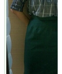 窄裙 | スカート