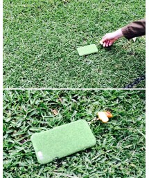 芝生 on 芝生 | その他