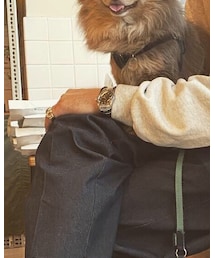 Tudor | アナログ腕時計