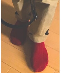 キャンドゥ | ソックス/靴下