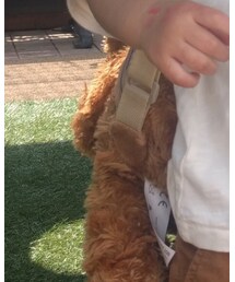 くまさんリュック | バックパック/リュック