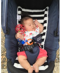 お散歩で爆睡 | その他