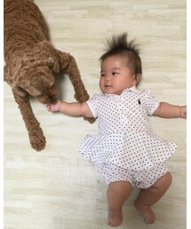 ワンコと仲良し風 | その他
