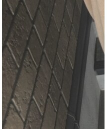 FREE'S MART | シャツ/ブラウス