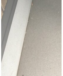 ZARA | カーディガン/ボレロ