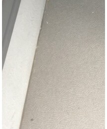 dean&deluca | エコバッグ/サブバッグ