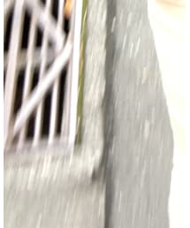 dean&deluca | エコバッグ/サブバッグ