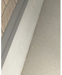 ZARA | シャツ/ブラウス