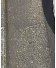 UNIQLO | ニット/セーター