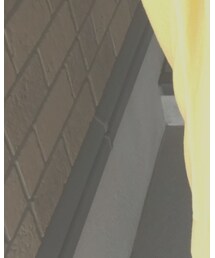 IENA | Tシャツ/カットソー