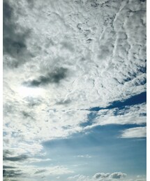 いい天気 | その他