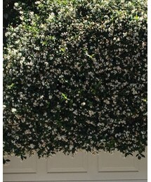 Spring | その他