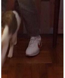 NIKE | スニーカー