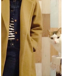 w closet | チェスターコート