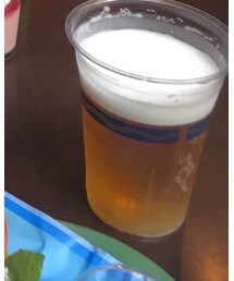 ビール | グラス/マグカップ/タンブラー