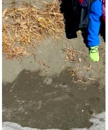 PHINGERIN | ドレスシューズ