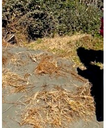 UMBRO | ナイロンジャケット