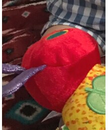 はらぺこあおむし | おもちゃ