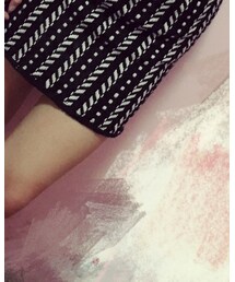 毛呢裙 | スカート