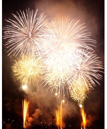 🎆 | その他