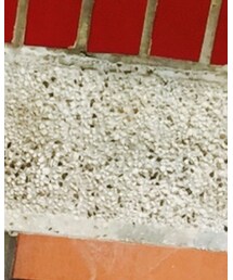 korea | Tシャツ/カットソー