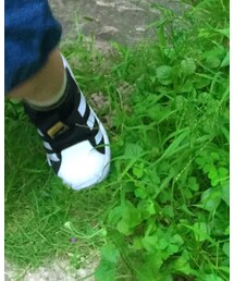 adidas | スニーカー