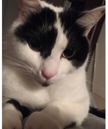 くうちゃんアップ | その他