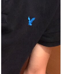 American Eagle | ポロシャツ