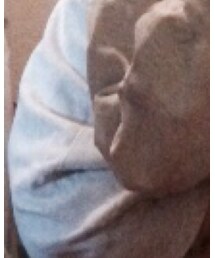 Champion | スウェット