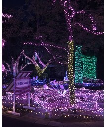 イルミ | その他