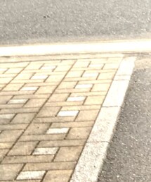 Engineered Garments | ジャケット/アウター