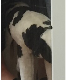 B-company | その他